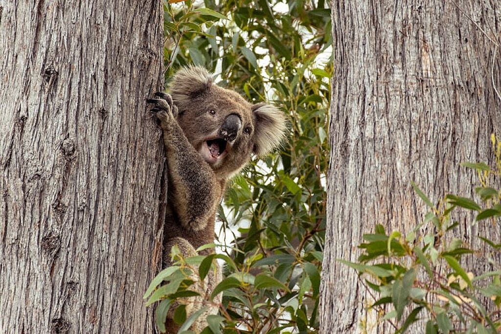 blog_image_69b9c0087b3c4